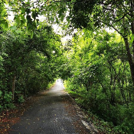 Misty Green Hills Parks & Resorts Kondotty 外观 照片