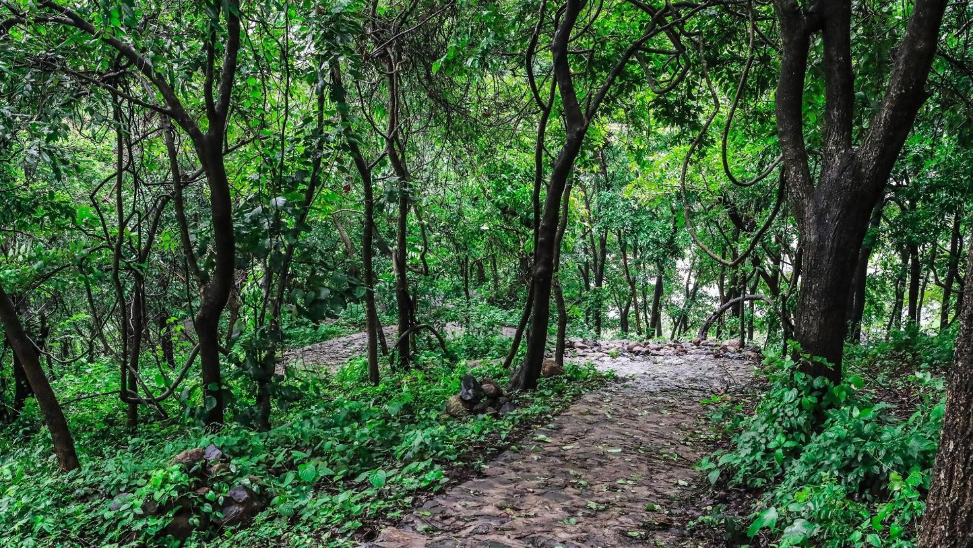 Misty Green Hills Parks & Resorts Kondotty 外观 照片