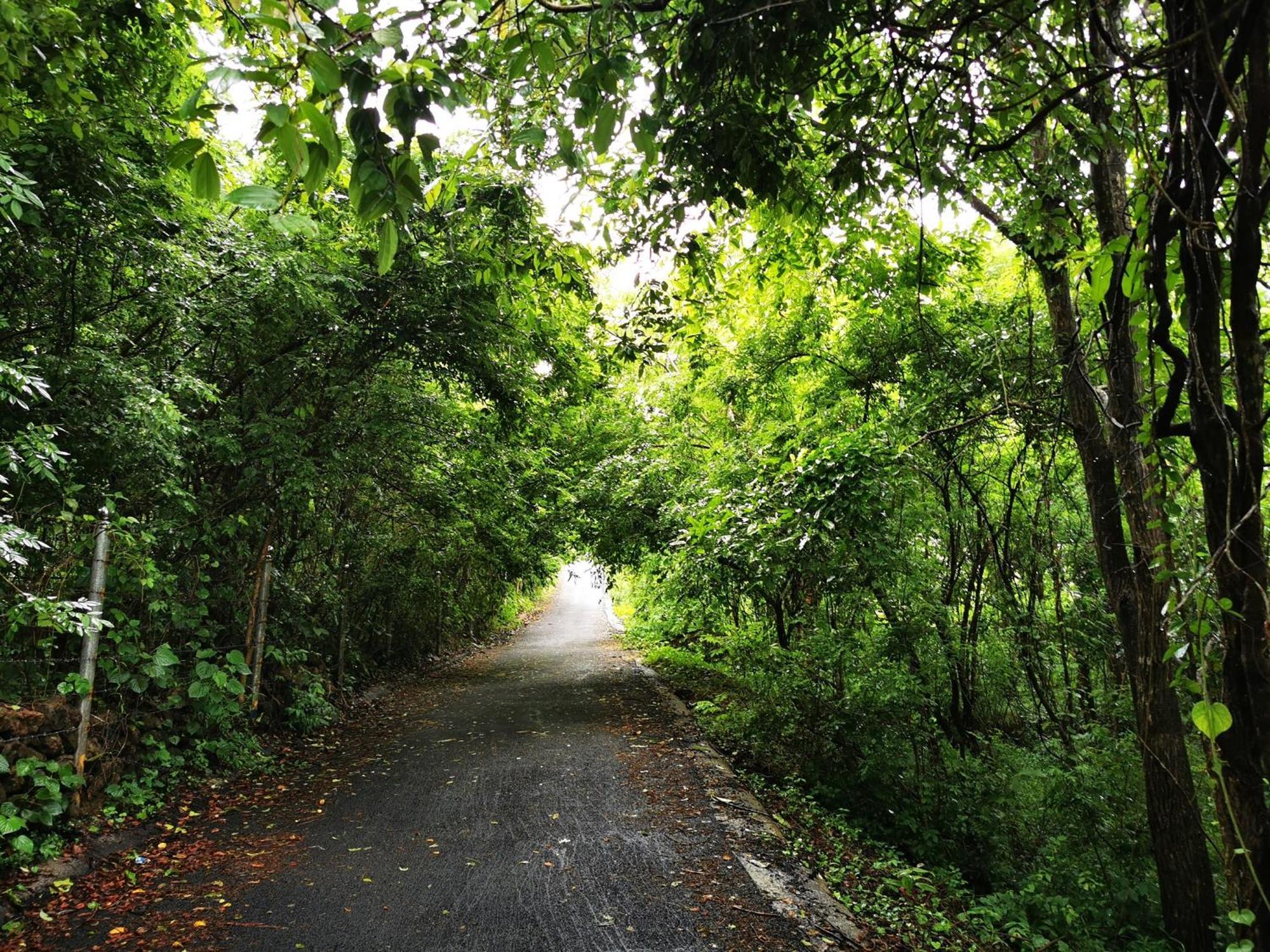 Misty Green Hills Parks & Resorts Kondotty 外观 照片